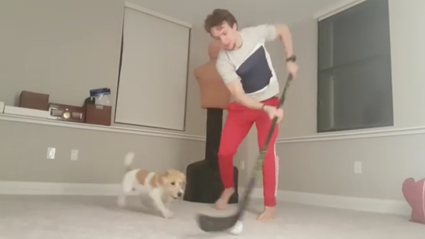 VIDEO  Blue Jackets player Artemi Panarin plays hockey with dog