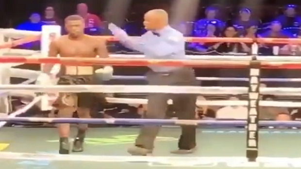 Boxer decides getting hit is not actually his thing and bails on fight after taking a punch