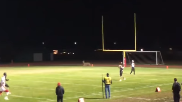 Deer runs onto field