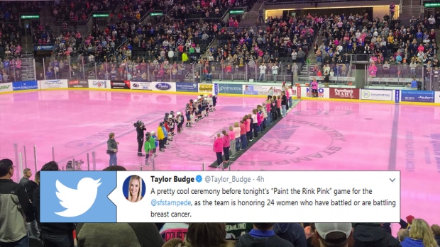 Pink Rink