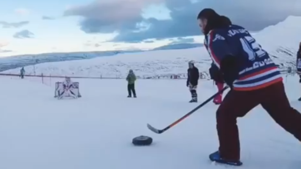 Sled Dogs Snowskates