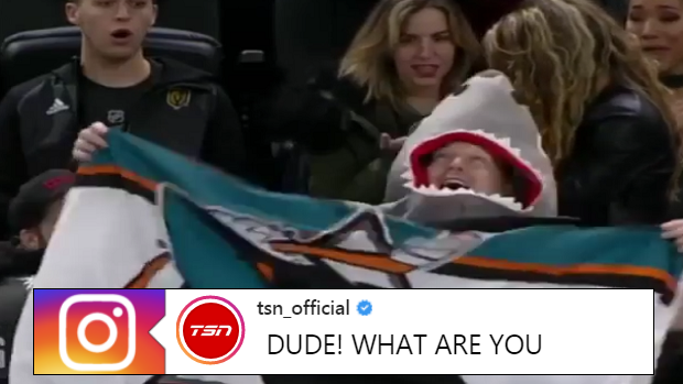 A Fan Missed His Jumbotron Marriage Proposal at a Miami Dolphins Game