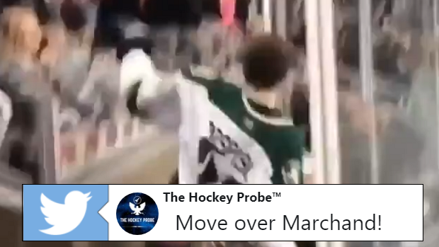 Calgary Flames prospect Martin Pospisil attempts to fight a fan during a USHL game.