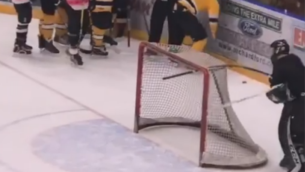 Goalie snaps stick