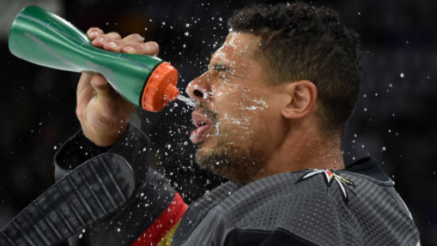 Ryan Reaves adorably took his infant daughter skating ...