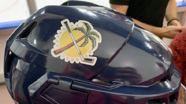 Florida Panthers Alternate Logo  Florida panthers, Florida panthers  hockey, Panther logo