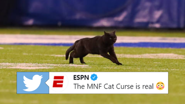 Monday Night Football Cat