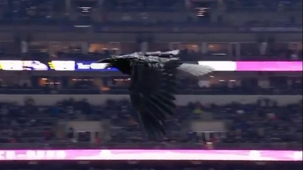 Ravens introduced a mixed-reality experience and it's incredible