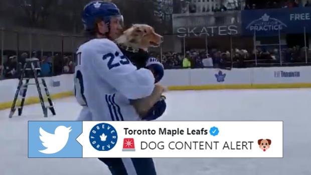 Toronto Maple Leafs NHL Dog Jacket