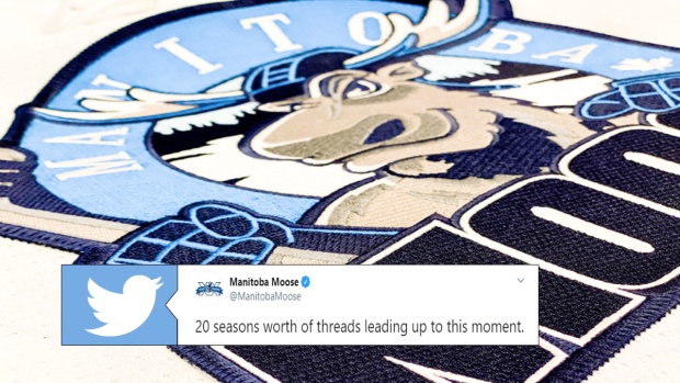 Manitoba Moose