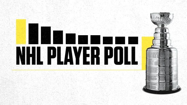 NHL player poll