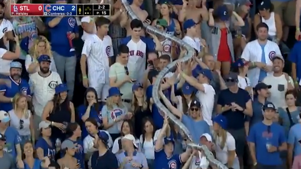 Cubs – Cardinals: Chicago fans put together amazing beer snake