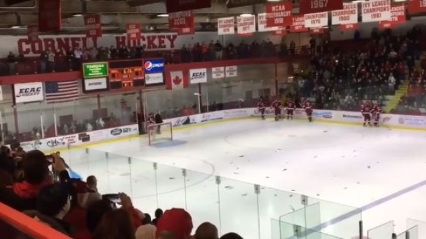 Cornell fans