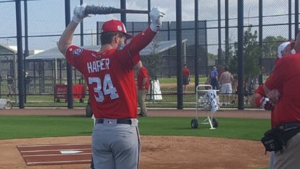 Bryce Harper showed up to spring training with a 'Walking Dead' themed bat.