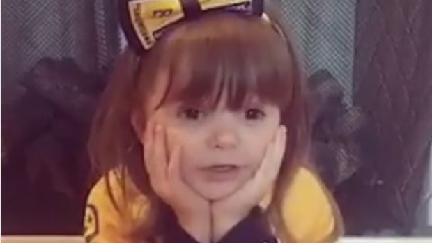 Predators fans