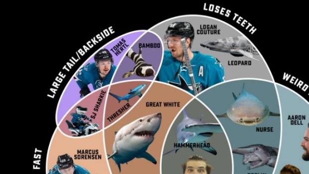 16 Facts About San Jose Sharks 