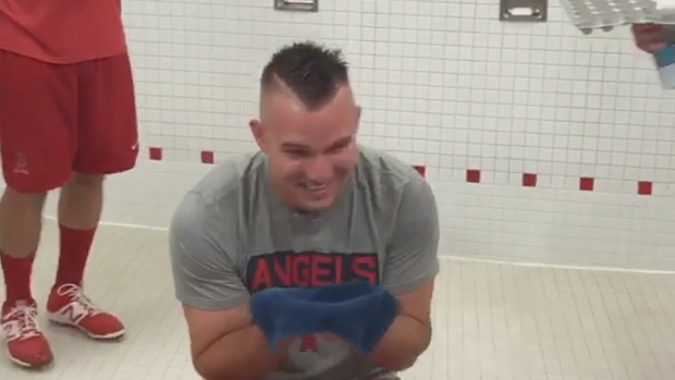 Mike Trout's Teammates Gave Him a Bizarre Birthday Celebration