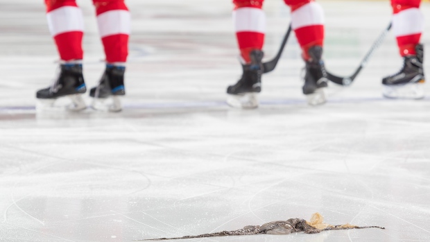 Detroit Red Wings Fan Throws An Octopus Onto The Ice 
