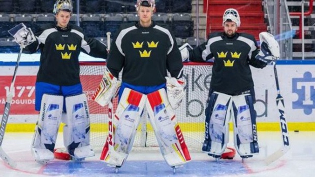 Swedish goalies