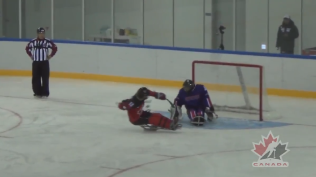 Sledge Hockey goal