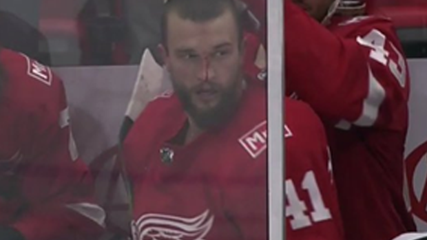 Video: Red Wings Fan Throws Haymakers During Fight In The Stands