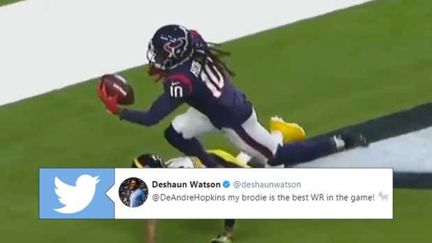 DeAndre Hopkins One Hand Grab! 