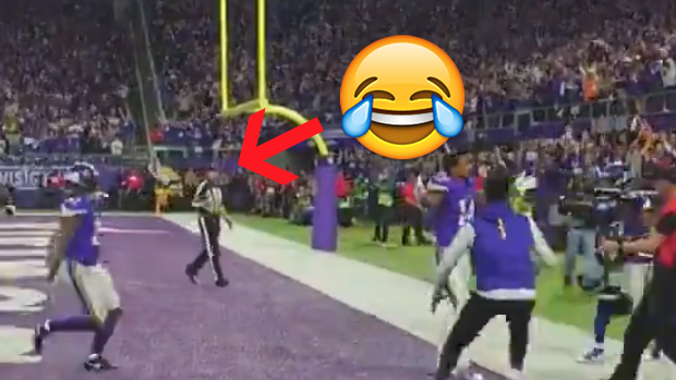 This ref deserves a raise after his reaction to Stefon Diggs' game-winning  TD - Article - Bardown