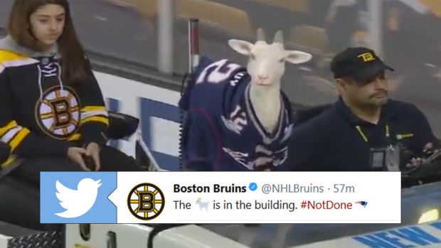 Bruins' game crew showed Tom Brady, Patriots some love in a humorous way  during intermission - Article - Bardown